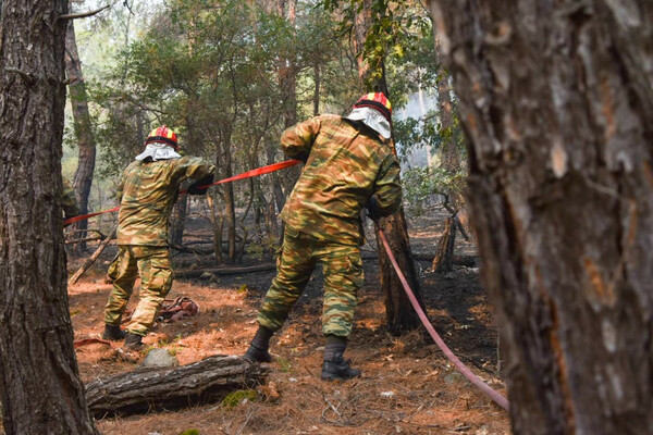 Συνεχίζεται η μάχη με τις φλόγες στη Δαδιά Έβρου – Μέσα στον οικισμό η φωτιά στα Βατερά Λέσβου