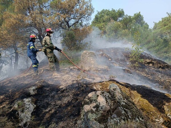Μαίνεται για τρίτη νύχτα η φωτιά στον Έβρο, αγωνία και για τη Λέσβο - Οι εξελίξεις στα πύρινα μέτωπα
