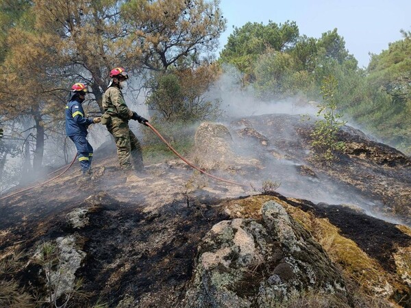 Μαίνεται για τρίτη νύχτα η φωτιά στον Έβρο, αγωνία και για τη Λέσβο - Οι εξελίξεις στα πύρινα μέτωπα