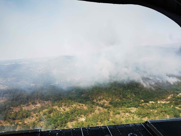 Φωτιά στη Δαδιά: Μάχη στο νοτιοδυτικό πύρινο μέτωπο- Προσπάθεια για νέα ζώνη άμυνας