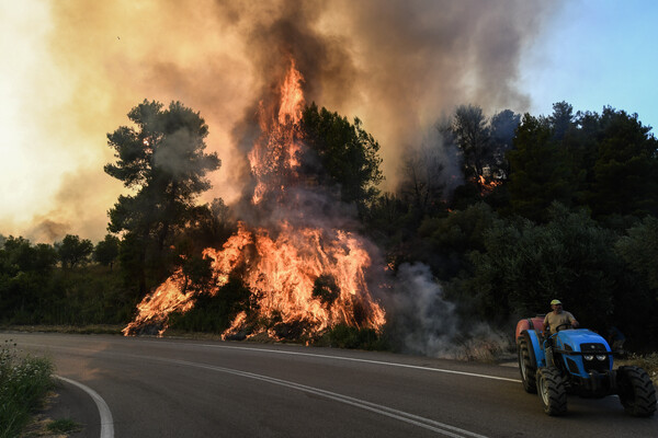 Ηλεία: Προφυλακιστέος 58χρονος για την πυρκαγιά στα Άγναντα