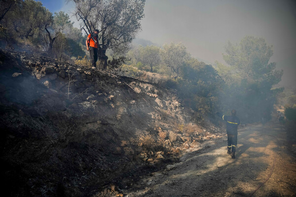 Πυροσβεστική: 9 συλλήψεις για εμπρησμό σε μία εβδομάδα- Η κατάσταση στα πύρινα μέτωπα σε Λέσβο και Δαδιά