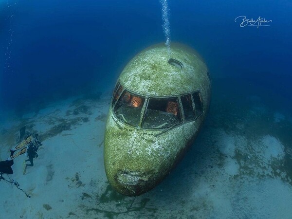 Το κουφάρι ενός παλιού αεροσκάφους στον ακανόνιστο βυθό της Ερυθράς Θάλασσας - Πόλος έλξης για τουρίστες και θαλάσσια ζωή 