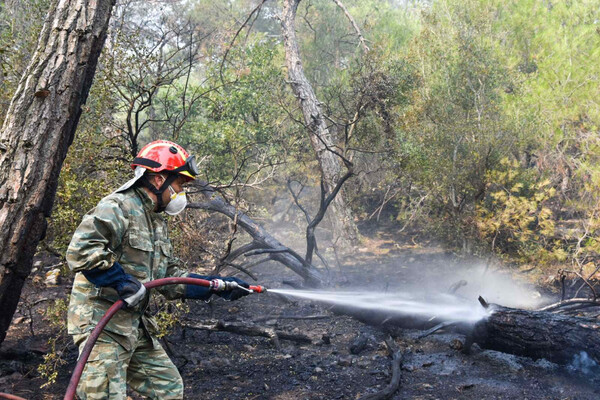 Καίγεται για 8η ημέρα το δάσος Δαδιάς- Σε εξέλιξη και η φωτιά στη Λέσβο