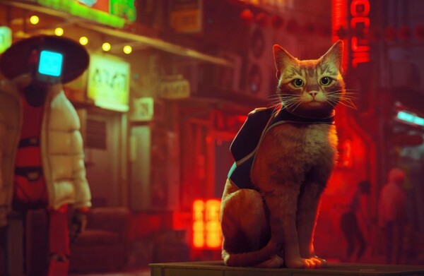 Video game που παίζετε την αδέσποτη γάτα μπήκε στα πιο δημοφιλή του 2022