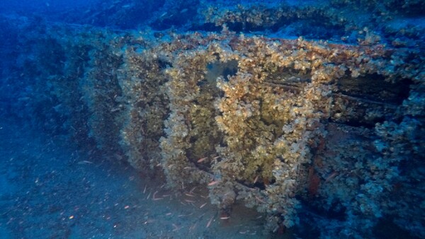 Άγνωστο ναυάγιο εντοπίστηκε στον βυθό του Αιγαίου	- Είχε βυθιστεί από ισχυρή έκρηξη 