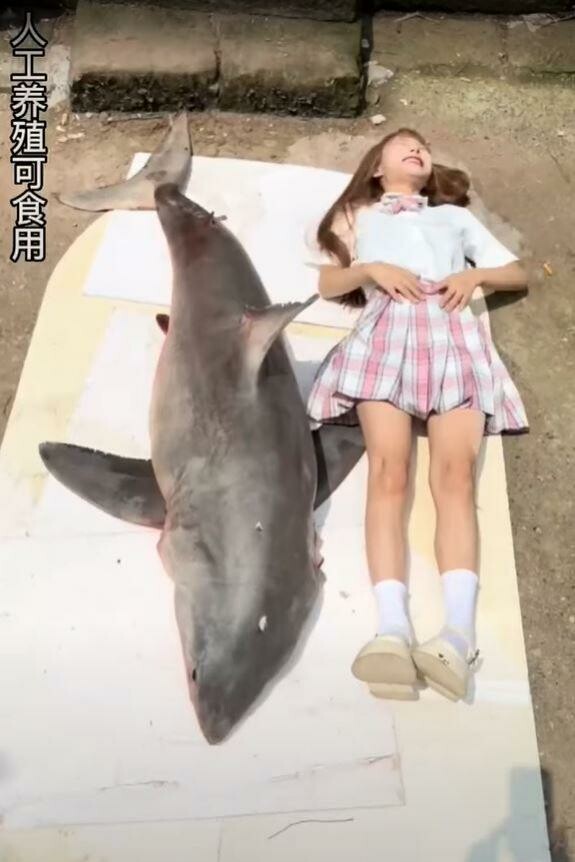 Σάλος στην Κίνα με την influencer: Πόζαρε δίπλα σε νεκρό λευκό καρχαρία και στη συνέχεια τον έφαγε 