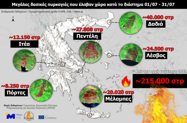 Δασικές πυρκαγιές: Κάηκαν πάνω από 130.000 στρέμματα μέσα στον Ιούλιο
