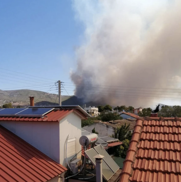 Φωτιά στη Νέα Πέραμο: Μήνυμα 112 για εκκένωση οικισμού - Κλειστή η Ολυμπία Οδός 