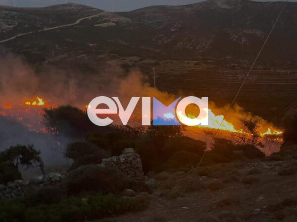 Εύβοια: Υπό έλεγχο η φωτιά στους Ραπταίους