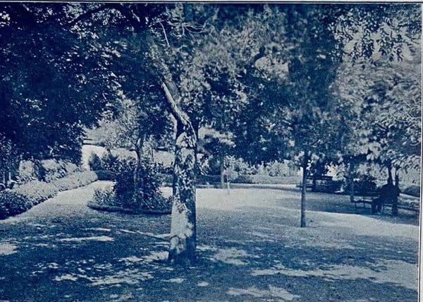 Μπαλουκλί μια ιστορία επιστήμης και ευεργεσίας αιώνων στην Κωνσταντινούπολη