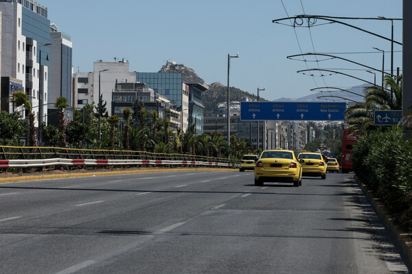 Συγγρού: Φυτεύτηκαν 300 φοίνικες από Πάντειο έως Φάληρο - Γιατί επιλέχτηκε το συγκεκριμένο δέντρο