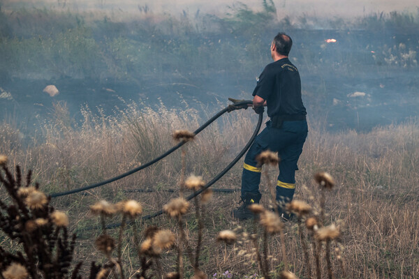 Φθιώτιδα: Φωτιά σε δασική έκταση στην περιοχή Πετρωτού -Επιχειρούν 3 αεροσκάφη