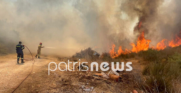 Φωτιά στον Πύργο: Μάχη σε δύο μέτωπα, κοντά σε σπίτια οι φλόγες - Παραλίγο να καεί όχημα της Πυροσβεστικής