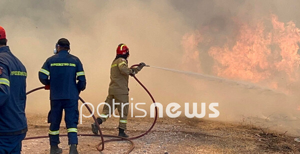 Φωτιά στον Πύργο: Μάχη σε δύο μέτωπα, κοντά σε σπίτια οι φλόγες - Παραλίγο να καεί όχημα της Πυροσβεστικής
