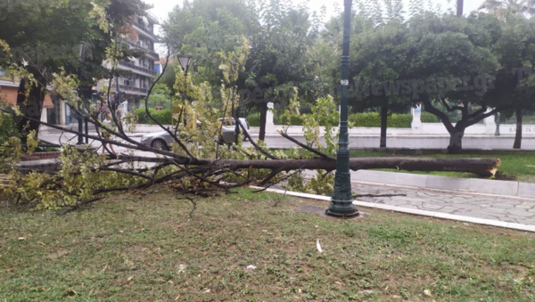 Βόλος: Δύο τραυματίες από την κακοκαιρία - Εικόνες καταστροφής