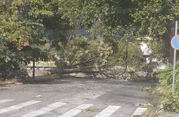 Βόλος: Δύο τραυματίες από την κακοκαιρία - Εικόνες καταστροφής