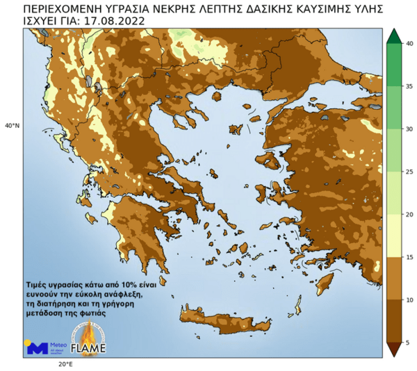 Συναγερμός για δασικές πυρκαγιές μετά τις βροχές- Γιατί αυξάνεται η ευφλεκτότητα