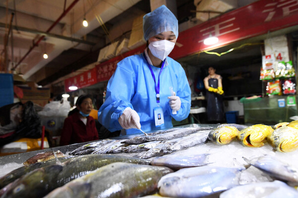 «Self test» και στα ψάρια- Κινεζική πόλη «απογειώνει» την σκληρή πολιτική του zero covid