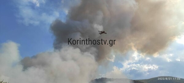 Φωτιά στην Κορινθία - Ισχυρή δύναμη της Πυροσβεστικής στο σημείο