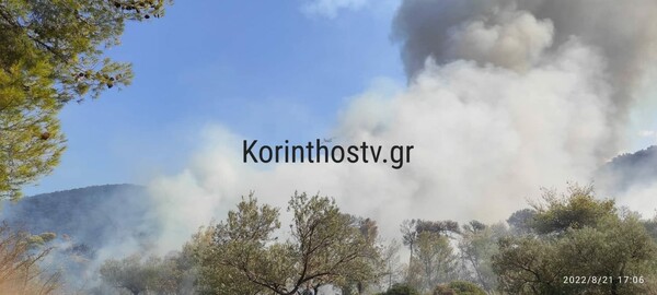 Φωτιά στην Κορινθία - Ισχυρή δύναμη της Πυροσβεστικής στο σημείο