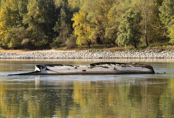 The drying Danube River reveals explosive-laden WWII Nazi warships