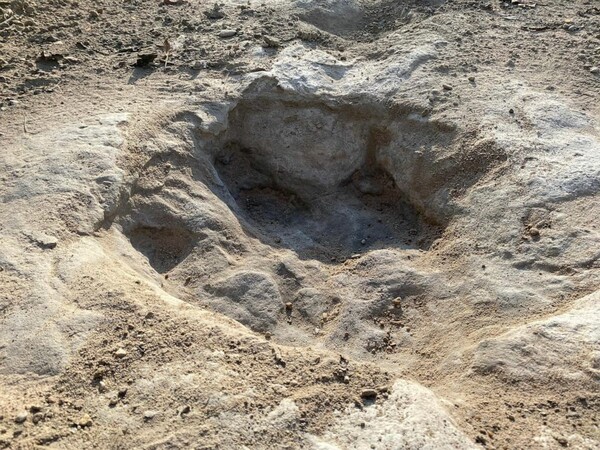 Dinosaur tracks from 113M years ago have become visible amid drought