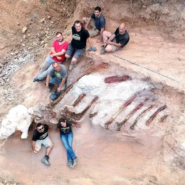 Απολίθωμα δεινοσαύρου στην Πορτογαλία ίσως είναι το μεγαλύτερο που έχει βρεθεί ποτέ στην Ευρώπη