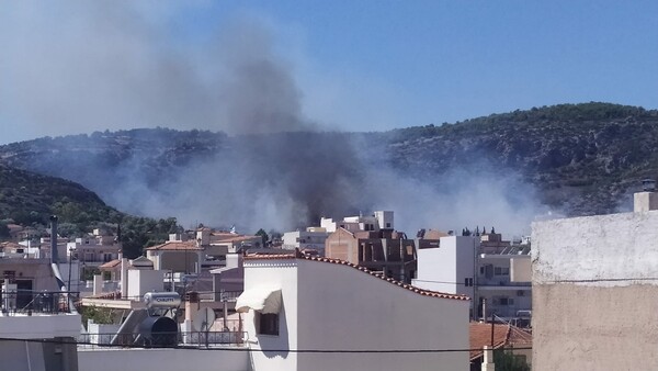 Φωτιά στο Κορωπί- 68 πυροσβέστες στην επιχείρηση κατάσβεσης