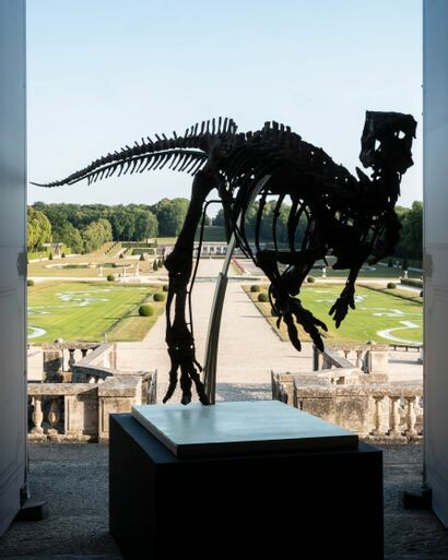 Σκελετός δεινοσαύρου βγαίνει στο «σφυρί» από τον οίκο Giquello - «Ιδανικός για το σαλόνι»