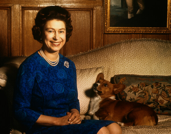 Where Queen Elizabeth’s beloved dogs and horses will go after her death