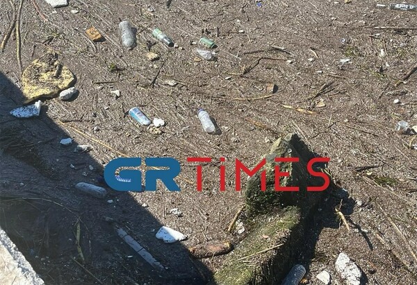 Θεσσαλονίκη: Γέμισε σκουπίδια ο Θερμαϊκός με σκουπίδια και νεκρά περιστέρια