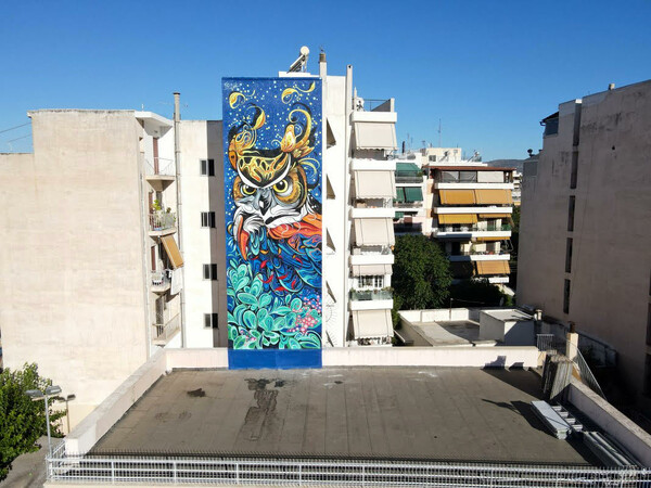 Μια τεράστια κουκουβάγια στο 24ο δημοτικό Αθηνών - Η νέα τοιχογραφία της street artist Fio Silva