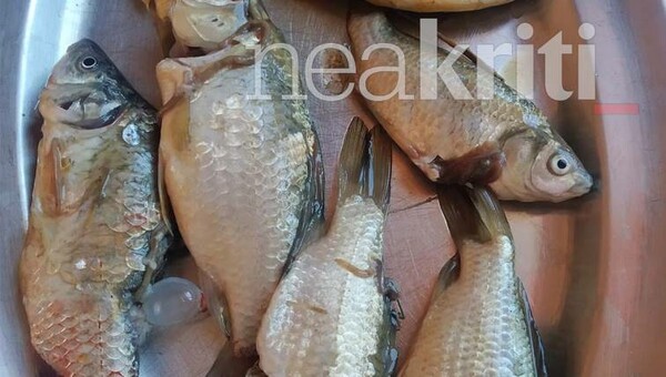 Κρήτη: Πήγε να ποτίσει τις καλλιέργειές του και έβγαιναν ψάρια από το νερό