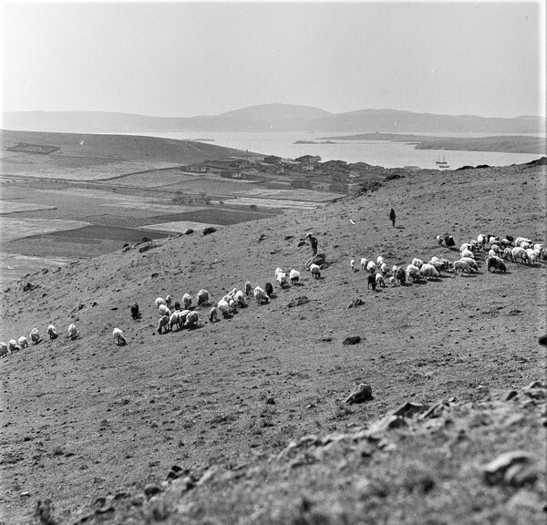 H Λήμνος το 1943