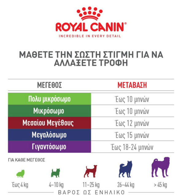 Κατοικίδιο και ενηλικίωση: Κάθε πότε αλλάζουμε τροφή;