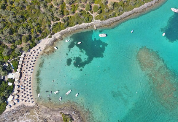 North Evia-Samos Pass: Από σήμερα οι νέες αιτήσεις για τα vouchers 150 και 300 ευρώ - Διαδικασία και δικαιούχοι