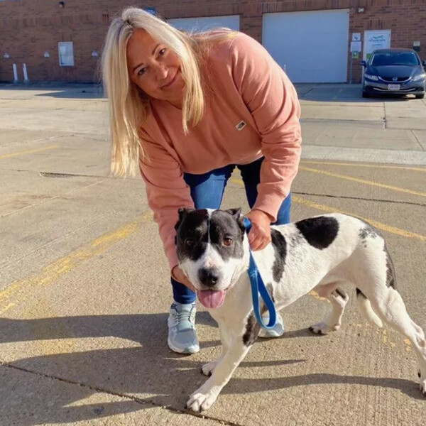 Οχάιο: Μετά από 2.555 μέρες σε καταφύγιο αδέσποτων, ένας σκύλος βρήκε τον άνθρωπό του 