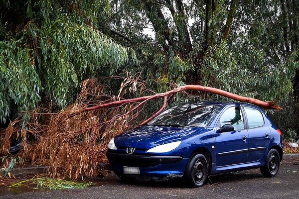 Προειδοποίηση για ισχυρούς ανέμους την Κυριακή: «Δεν παρκάρουμε κάτω από μεγάλα δέντρα»