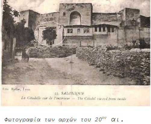 Κόβεται το ιστορικό πεύκο στο Επταπύργιο Θεσσαλονίκης, ηλικίας 130 ετών