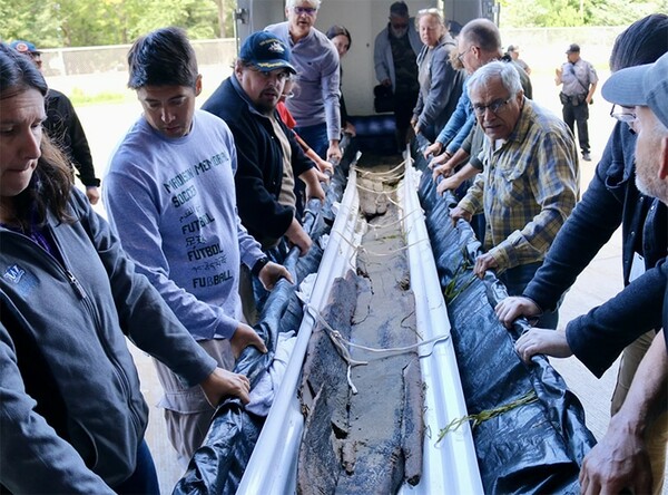 3,000-Year-Old Canoe Found in Wisconsin Is Oldest One Ever Discovered in Great Lakes