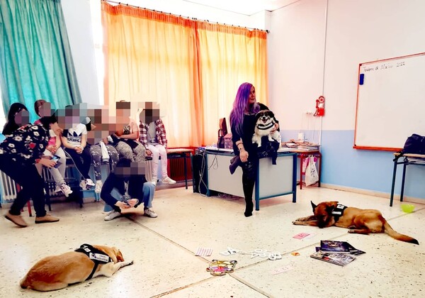 Άξελ, Διώνη, Πόθος: Πρώην αδέσποτοι σκύλοι γίνονται «δάσκαλοι» σε σχολεία της Θεσσαλονίκης