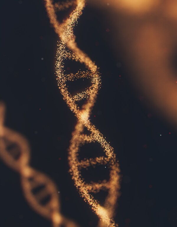 Nέος δρόμος για την εξέλιξη: Πώς το DNA περνάει από τα μιτοχόνδρια στο γονιδίωμα- και το αλλάζει