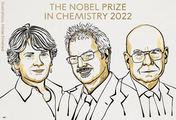 Στους Carolyn Bertozzi, Morten Meldal και K. Barry Sharpless απονεμήθηκε το Νόμπελ Χημείας