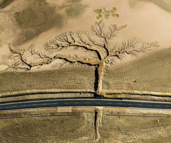 Οι νικητές του διαγωνισμού φωτογραφίας του Nature Conservancy 2022