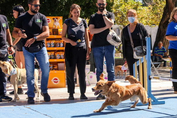 ATHENS PET FESTIVAL