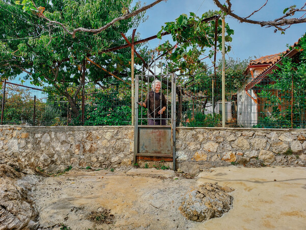 Ερμιόνη Μπρίγκου: Η γυναίκα που φροντίζει τους τάφους έξι Ελλήνων ηρώων που σκοτώθηκαν το 1941