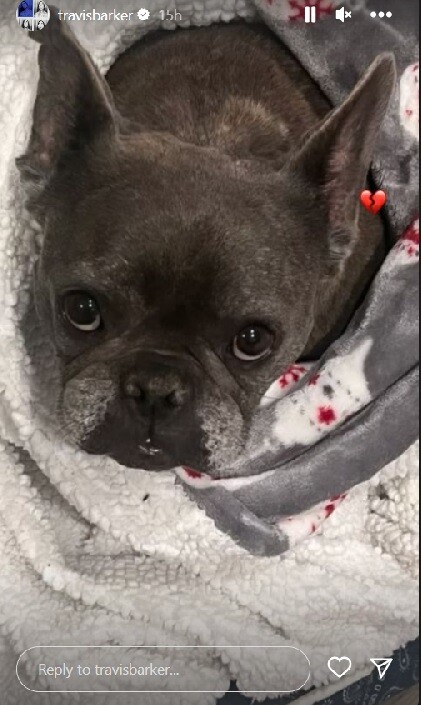 O Τράβις Μπάρκερ «αποχαιρετά» τον σκύλο του Blue- Η ανάρτησή του στο Instagram