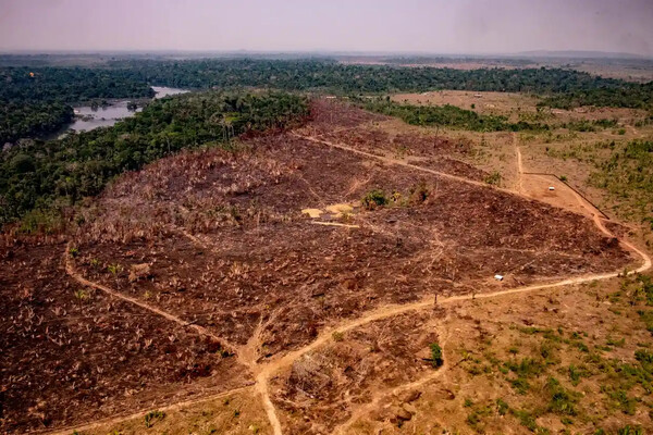 20 climate photographs that changed the world