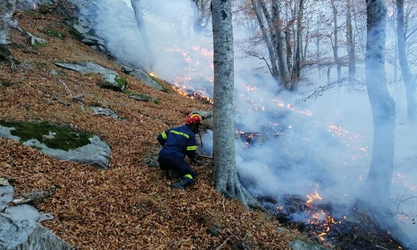 Παπίκιο Όρος: Για 20η ημέρα συνεχίζεται η πυρκαγιά - «Οριοθετήθηκε» λέει ο δήμαρχος Ιάσμου
